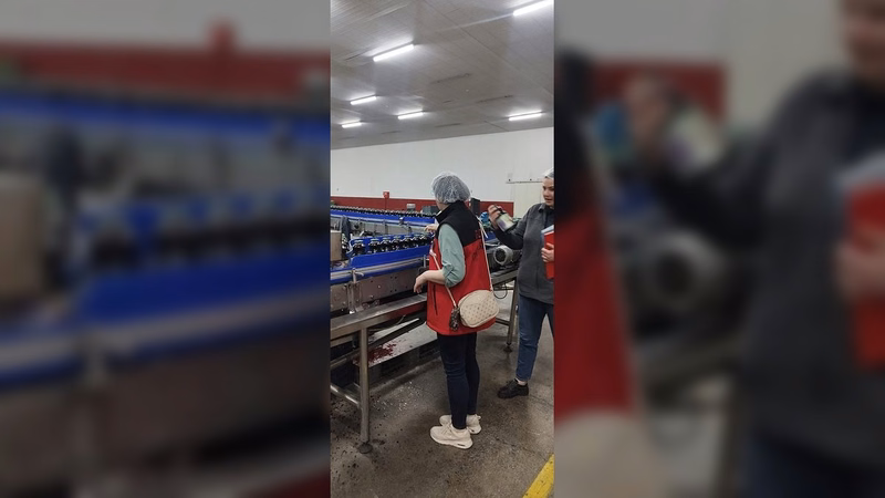Gıda ve Kontrol Genel Müdürlüğü'nden 4 İlde Gıda Denetimi - Görsel 1