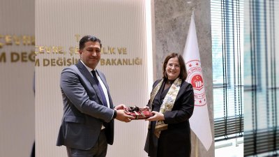 Bakan Yardımcısı Varank, Özbek Mevkidaşıyla Görüştü